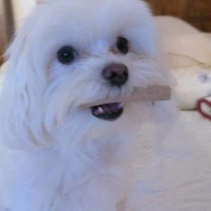 Meet your Posher, Audrey